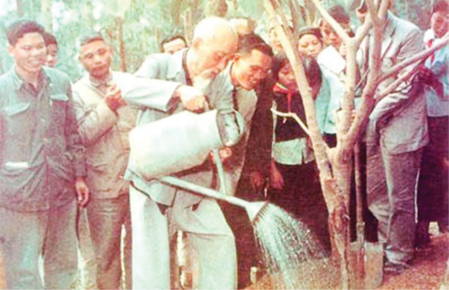 Chủ tịch Hồ Chí Minh với Tết trồng cây dịp xuân Ất Tỵ năm 1965
