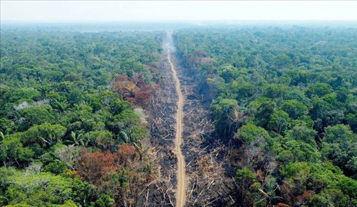 Đức tài trợ cho quan hệ đối tác giúp xử lý tội phạm môi trường