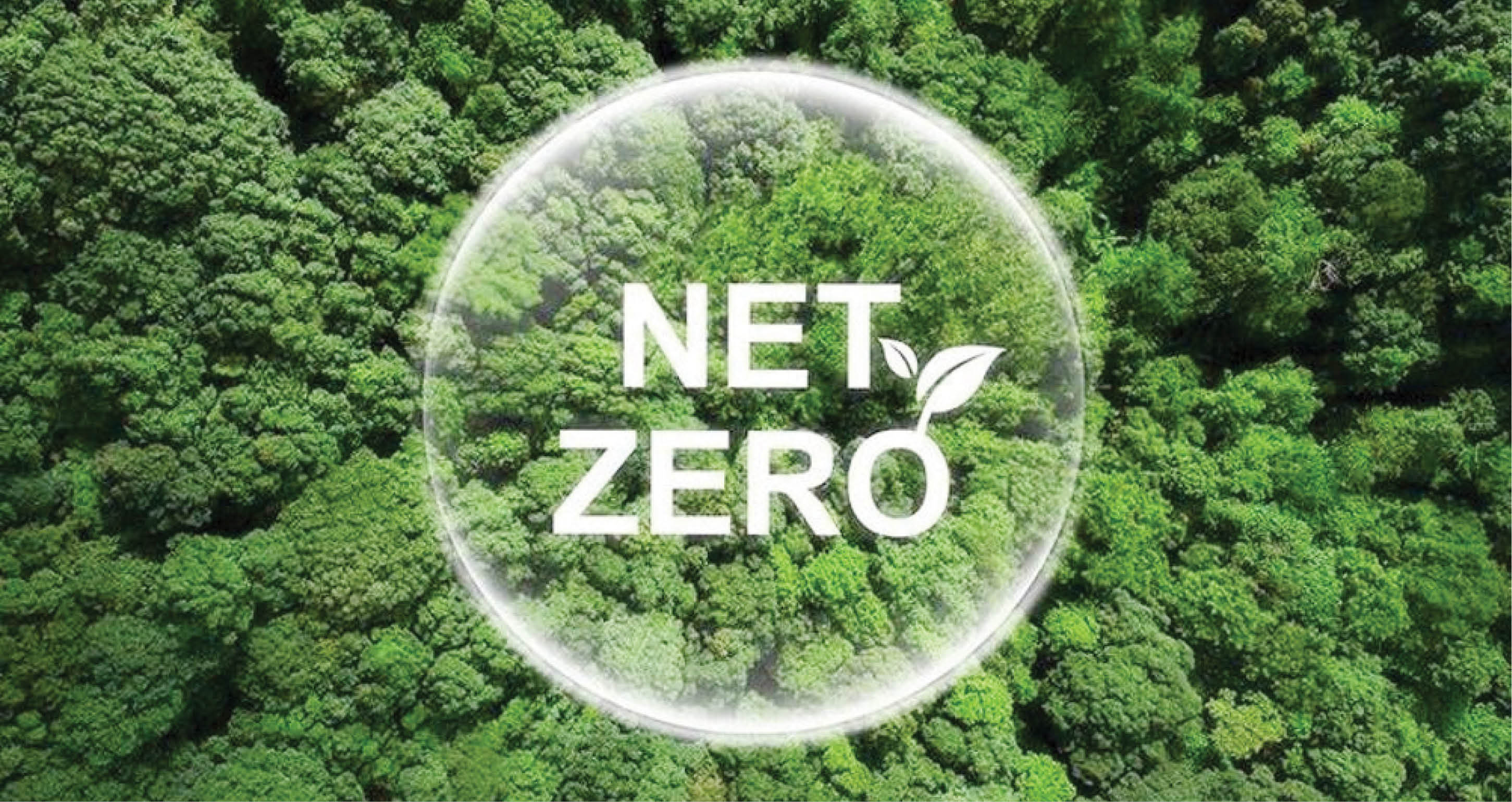 Tiến trình đạt đến mục tiêu Net Zero Nhìn lại quá khứ và thúc đẩy tương lai