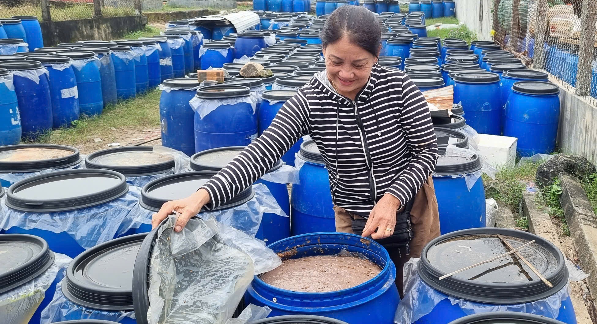 Phú Vang dồi dào nguồn hàng phục vụ Tết