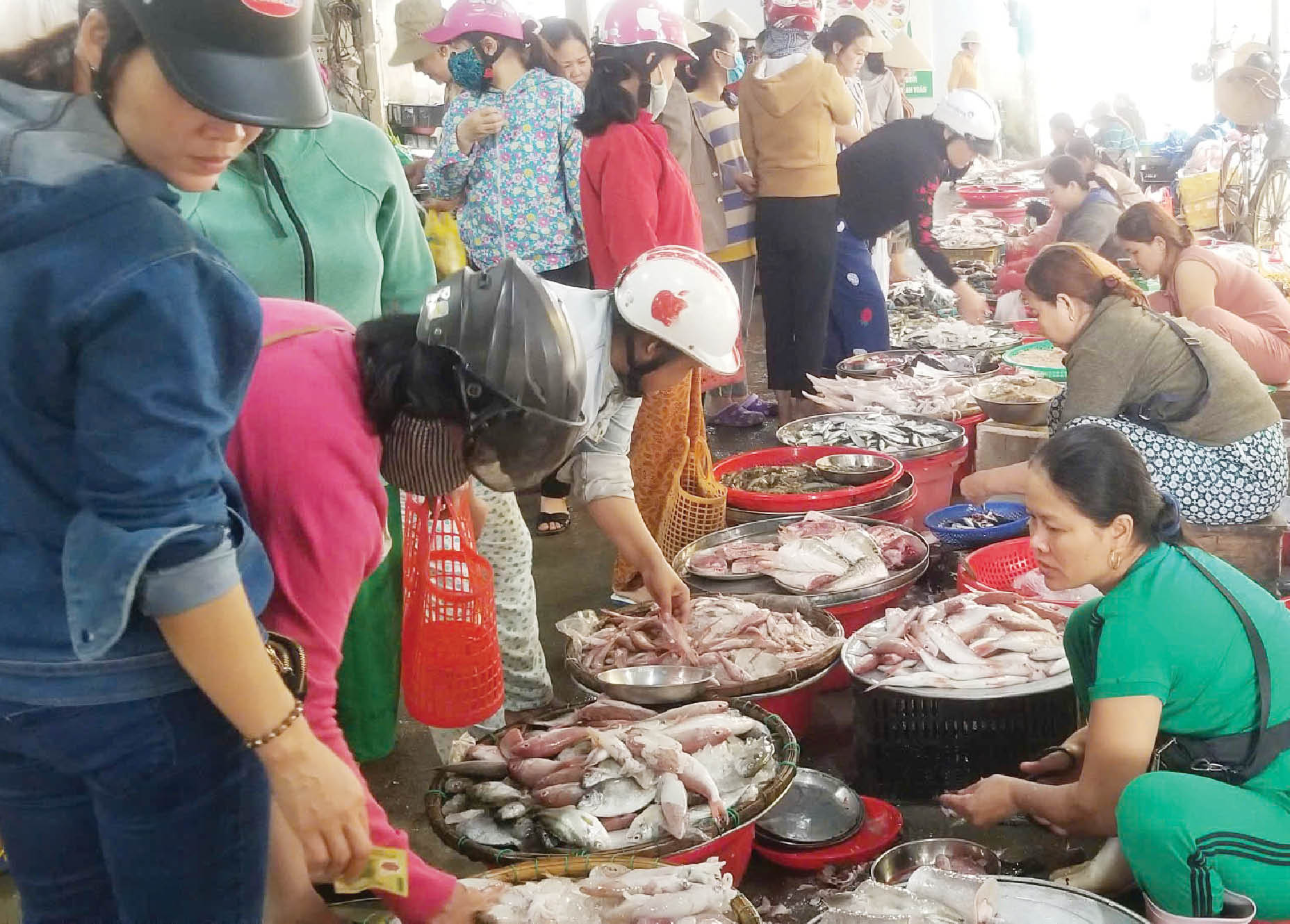 Không khan hàng, sốt giá