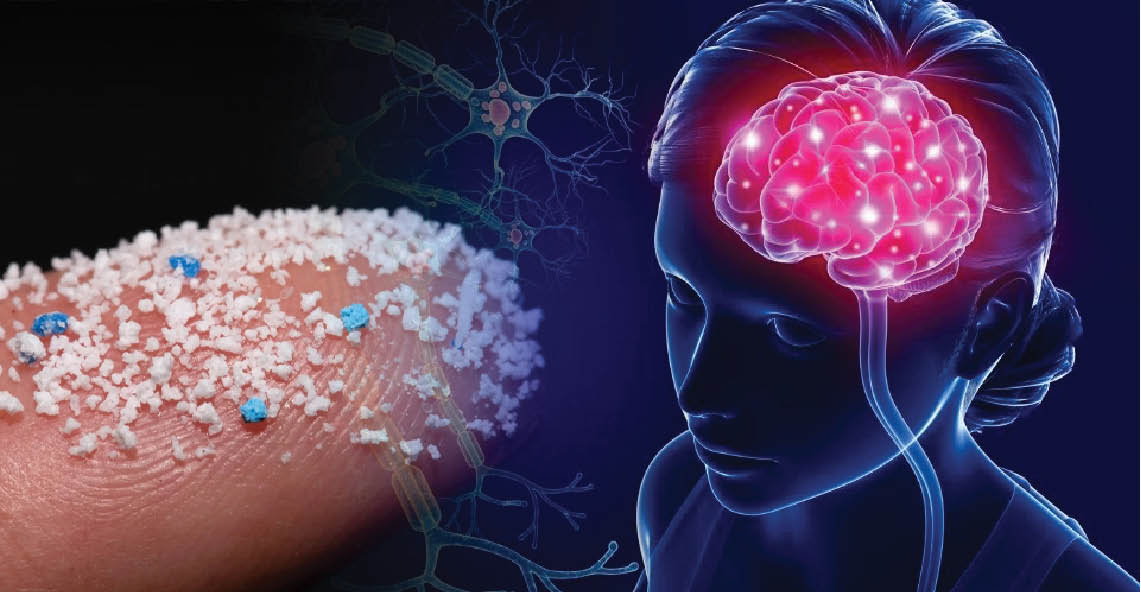 Mức độ các hạt vi nhựa xâm nhập vào não người ngày càng tăng