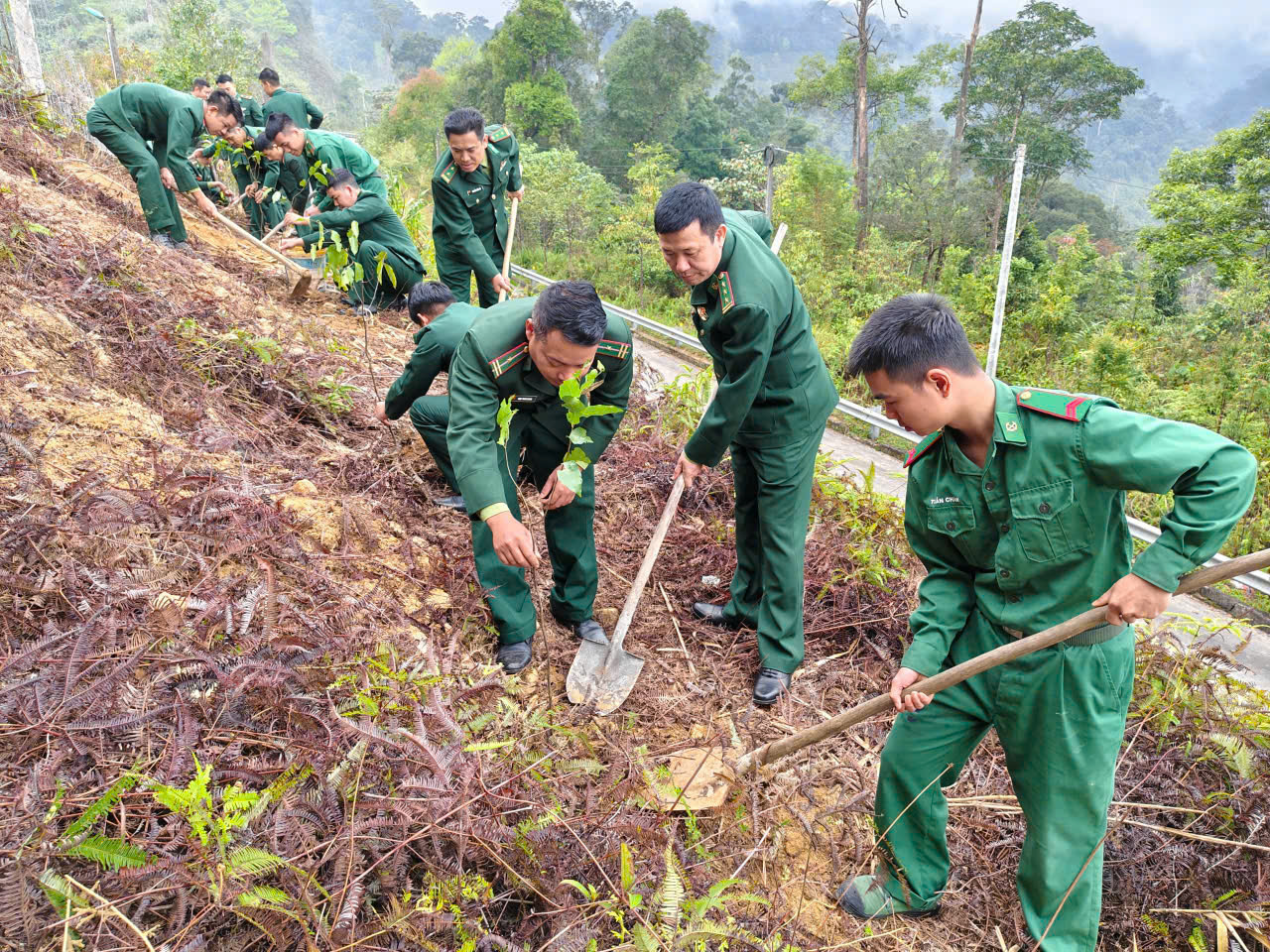 Bộ đội Biên phòng Ra quân trồng gần 3 000 cây xanh các loại