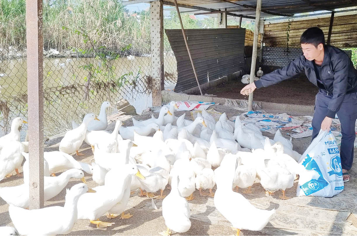 Nhanh nhạy và hiệu quả