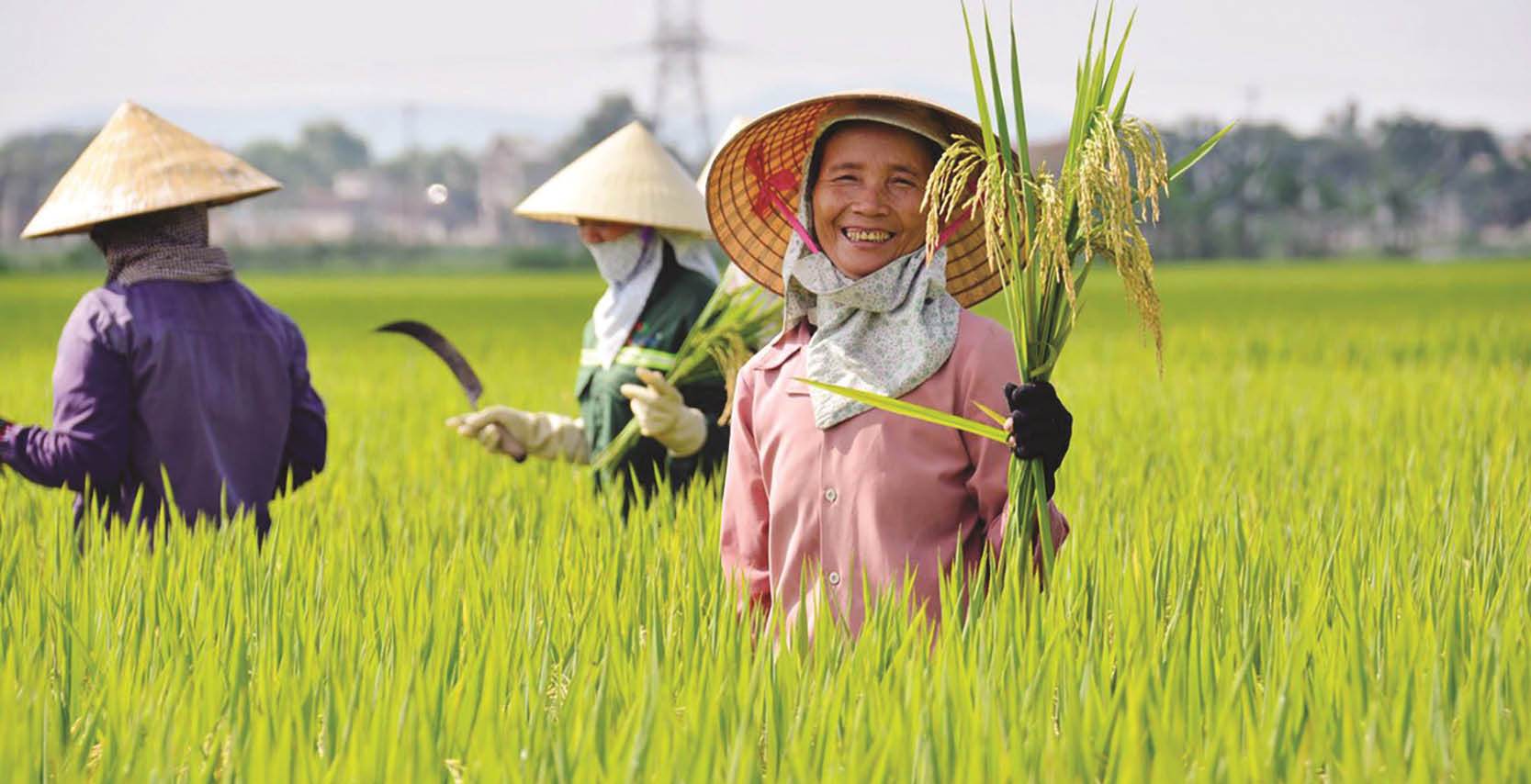 Đầu tư vào khu vực nông thôn để đạt được an ninh lương thực và tăng trưởng kinh tế