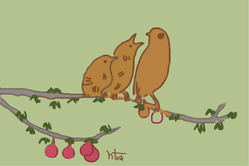 Mùa xuân sau khung cửa