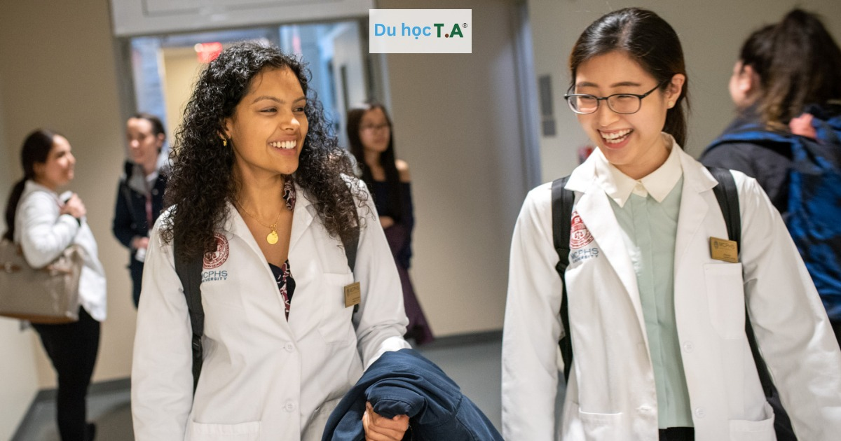 Giải pháp toàn diện khi chọn dịch vụ tư vấn du học tại Đà Nẵng