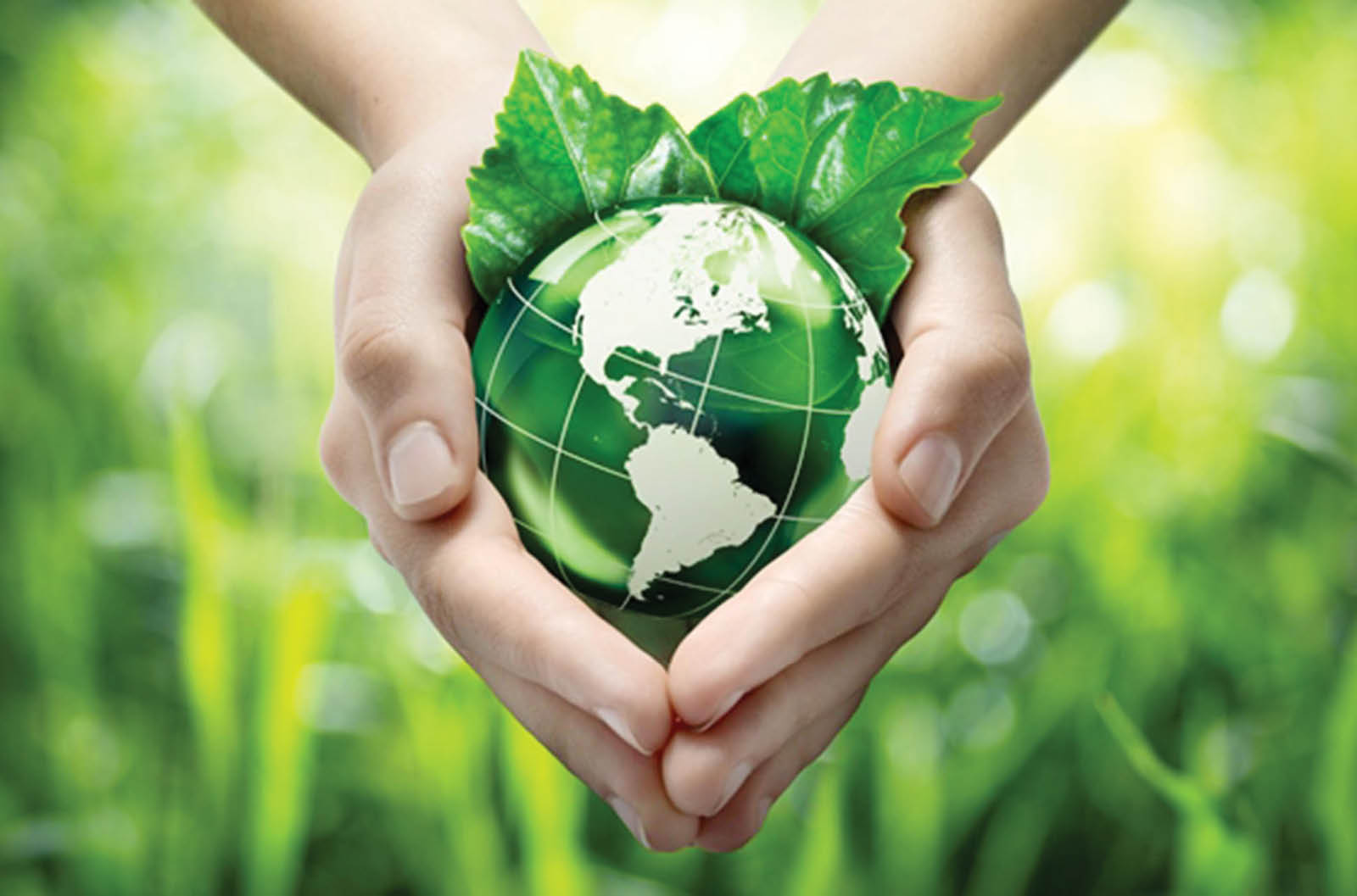 Châu Á - Thái Bình Dương Cần thúc đẩy mua sắm công bền vững