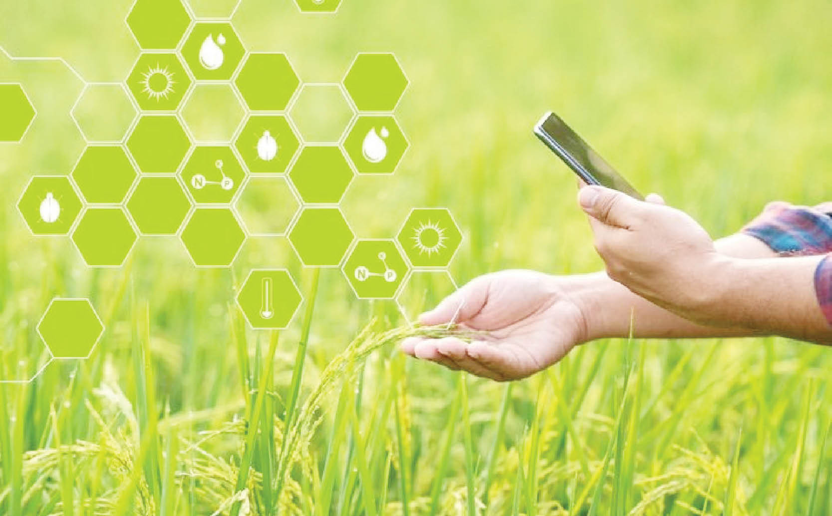 Nhiều triển vọng từ khai thác dữ liệu không gian