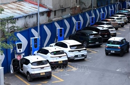 Những chính sách nổi bật liên quan đến kinh tế có hiệu lực từ tháng 3 2025