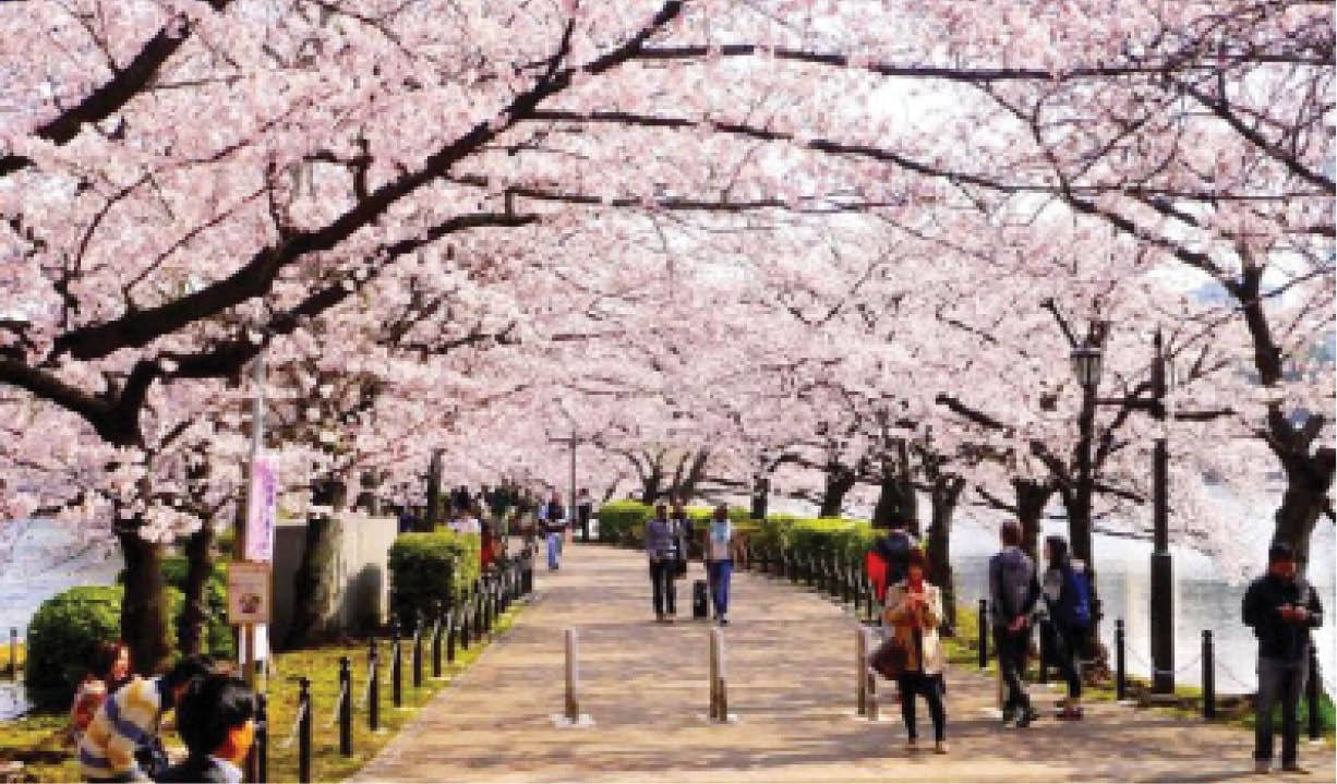 Điểm nóng du lịch Hokkaido “vật lộn” với lượng khách quá tải