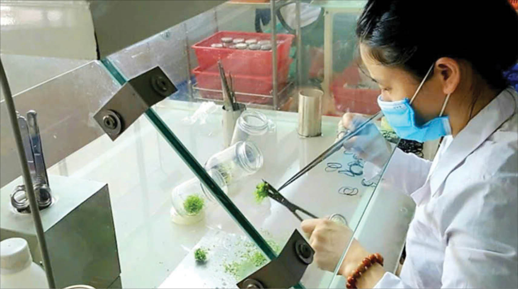 Tinh thần “khoán 10”