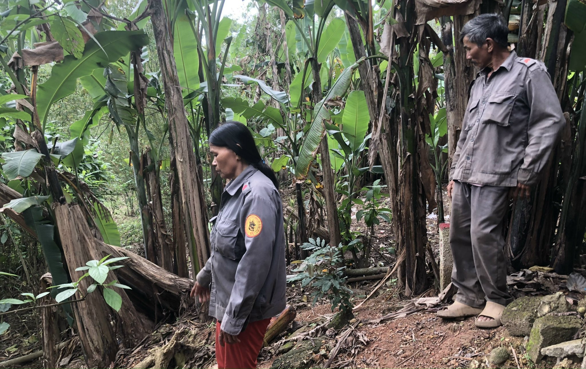 Sông Bồ sạt lở, người dân mong đến nơi ở mới