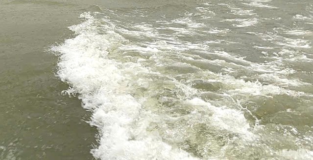 Từ hôm nay, vùng biển ngoài khơi có gió mạnh cấp 6-7, giật cấp 8-9