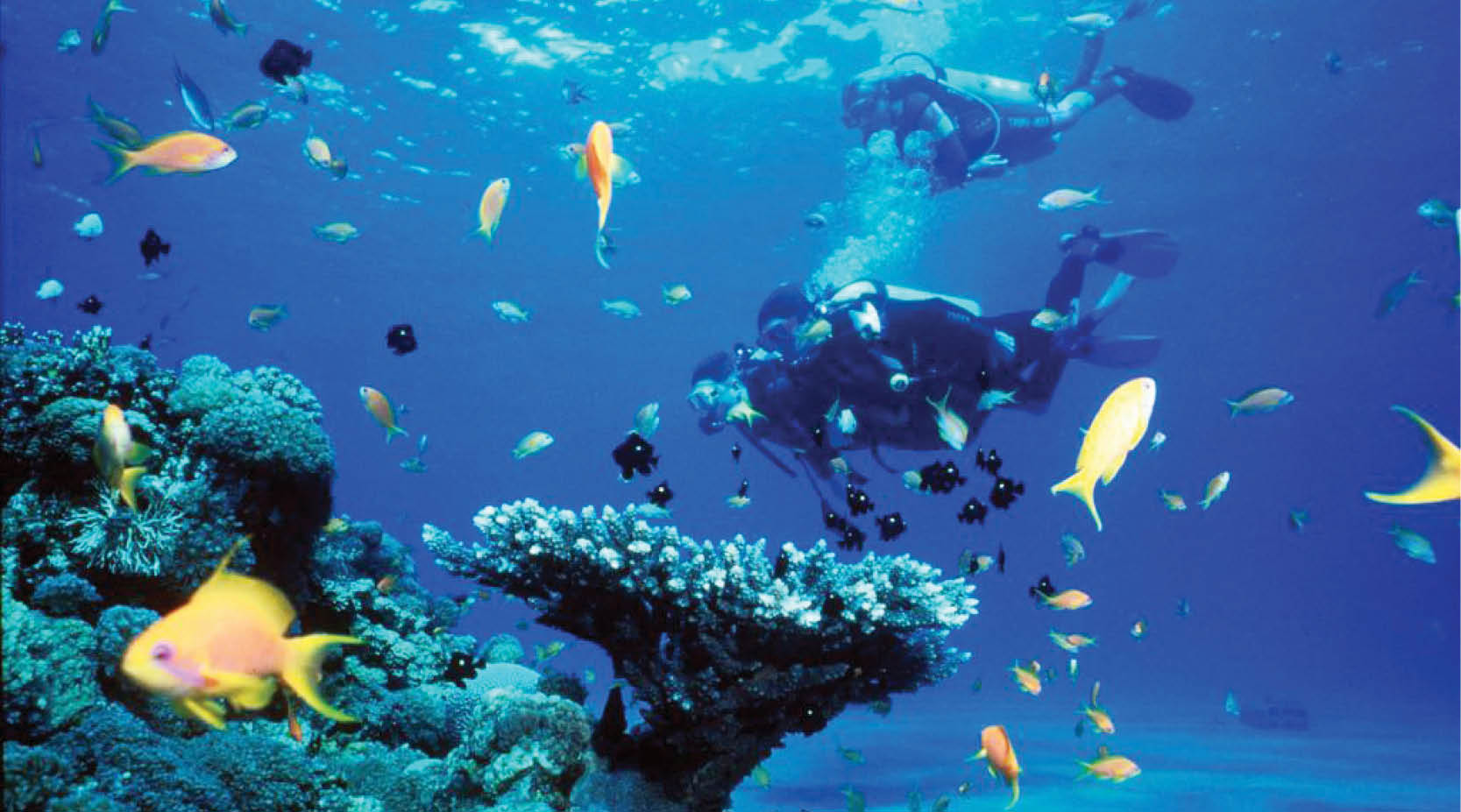 Công nghệ đang hỗ trợ khám phá đại dương