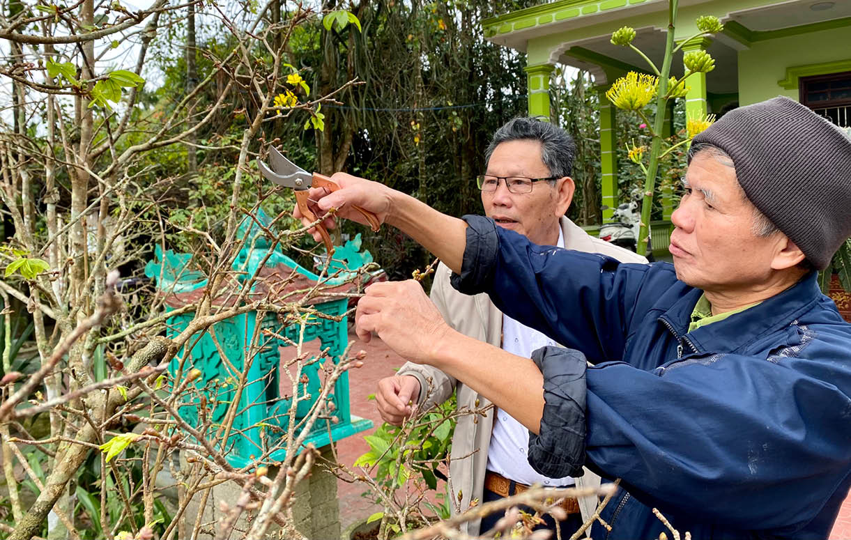 Những hạt nhân cao tuổi tại cơ sở