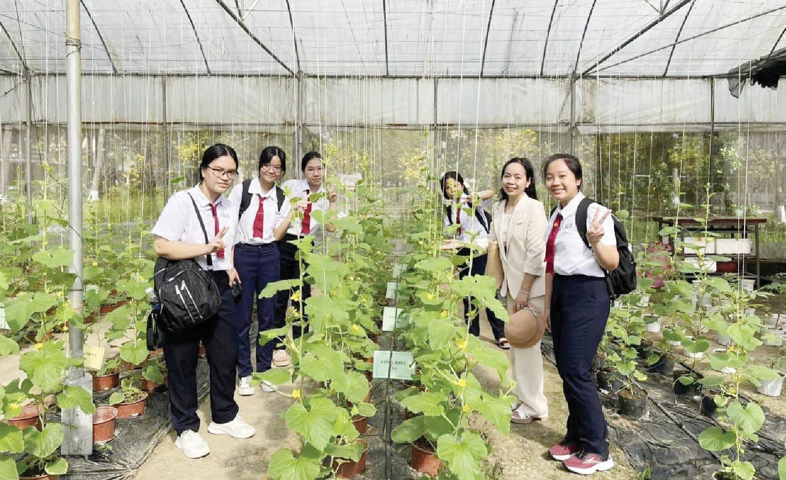 Rộng cửa kiếm việc làm