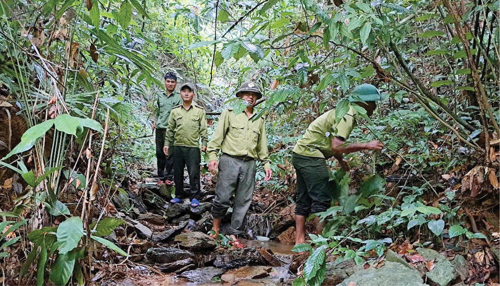Gắn kết bảo tồn với phát triển đa dạng sinh học