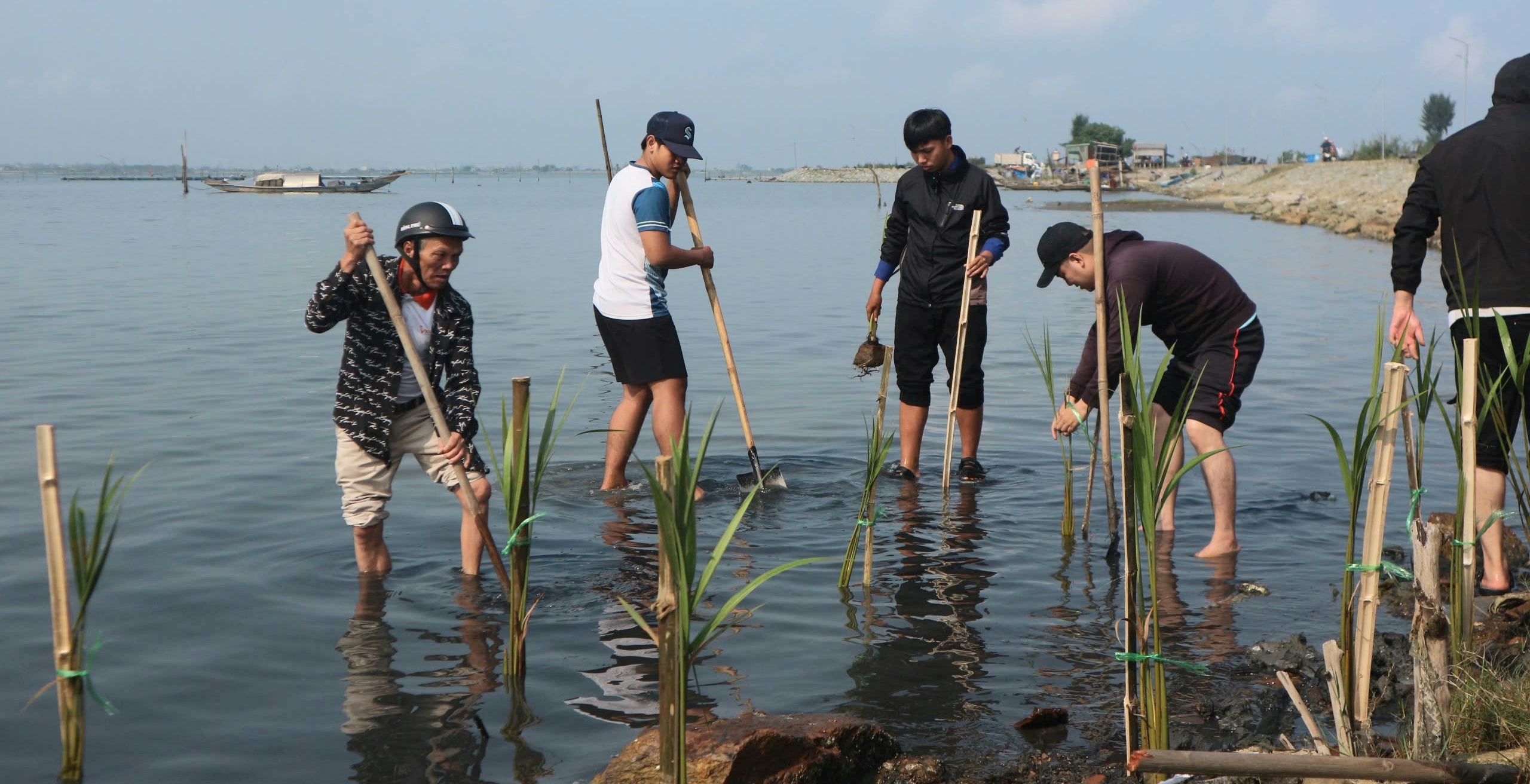 Hỗ trợ trồng hơn 15 000 cây rừng ngập mặn và bản địa phục hồi đa dạng sinh học