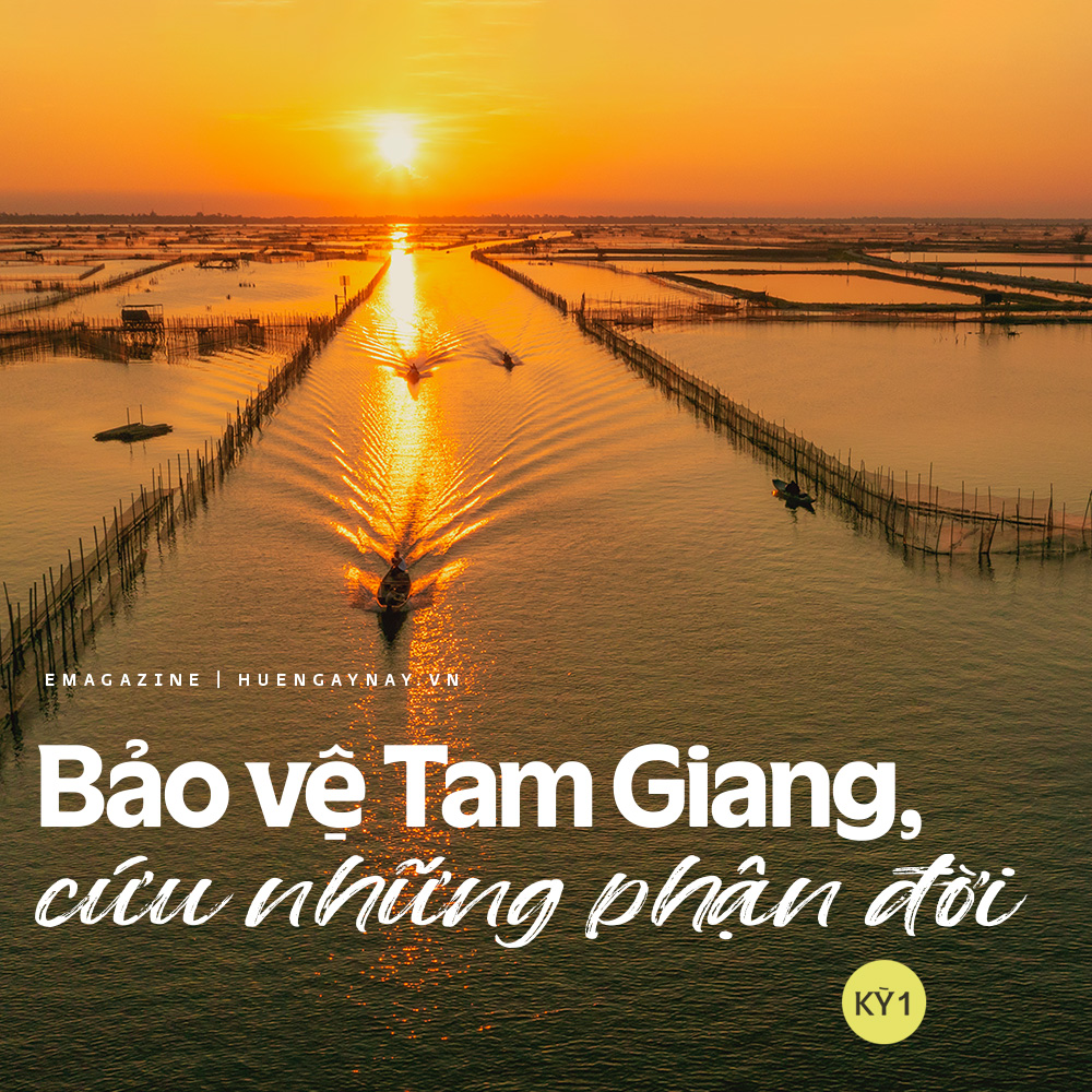 Bảo vệ Tam Giang, cứu những phận đời - Kỳ 1