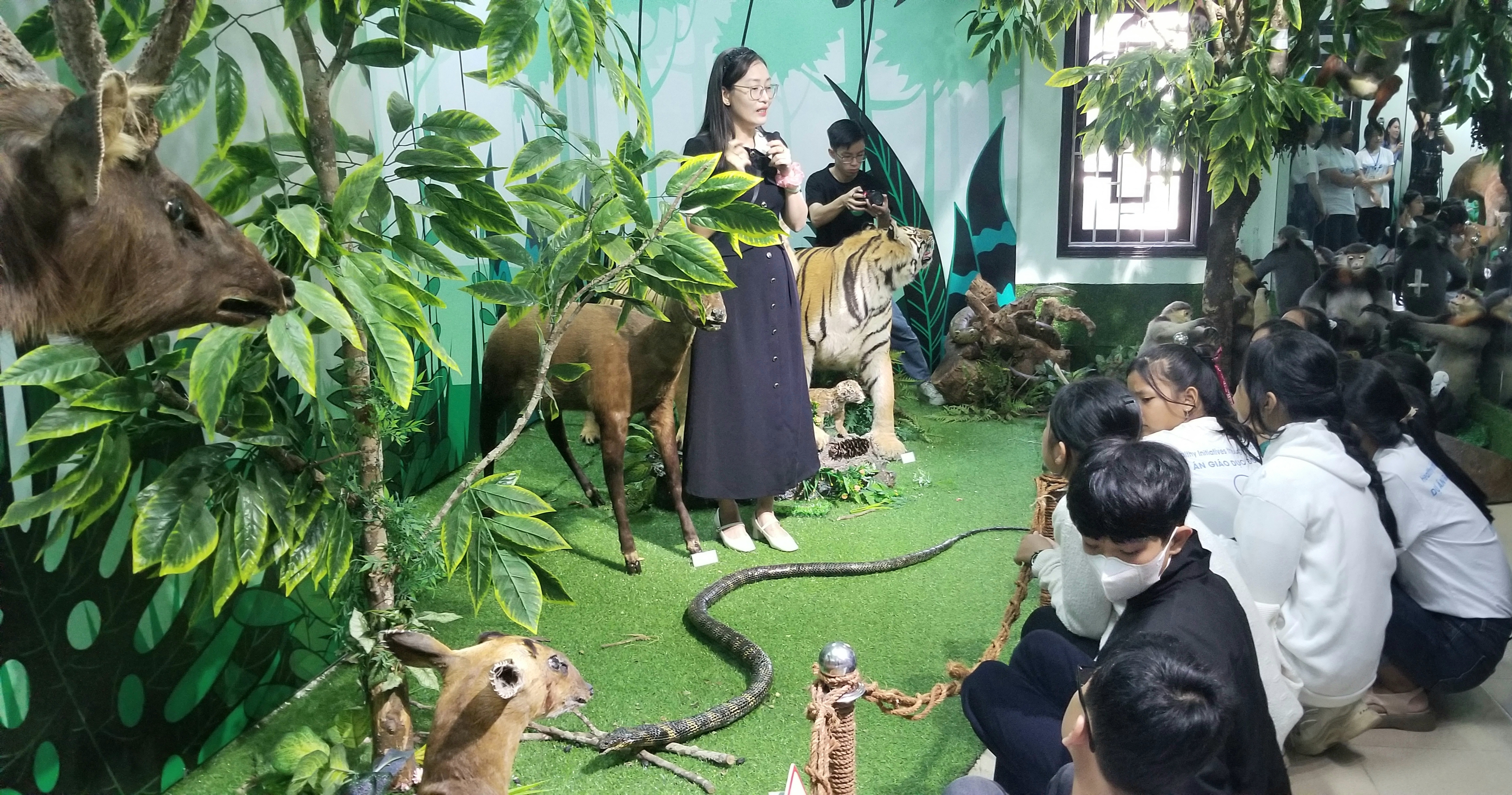 Bảo tàng Thiên nhiên Duyên hải miền Trung mở cửa đón khách tham quan miễn phí