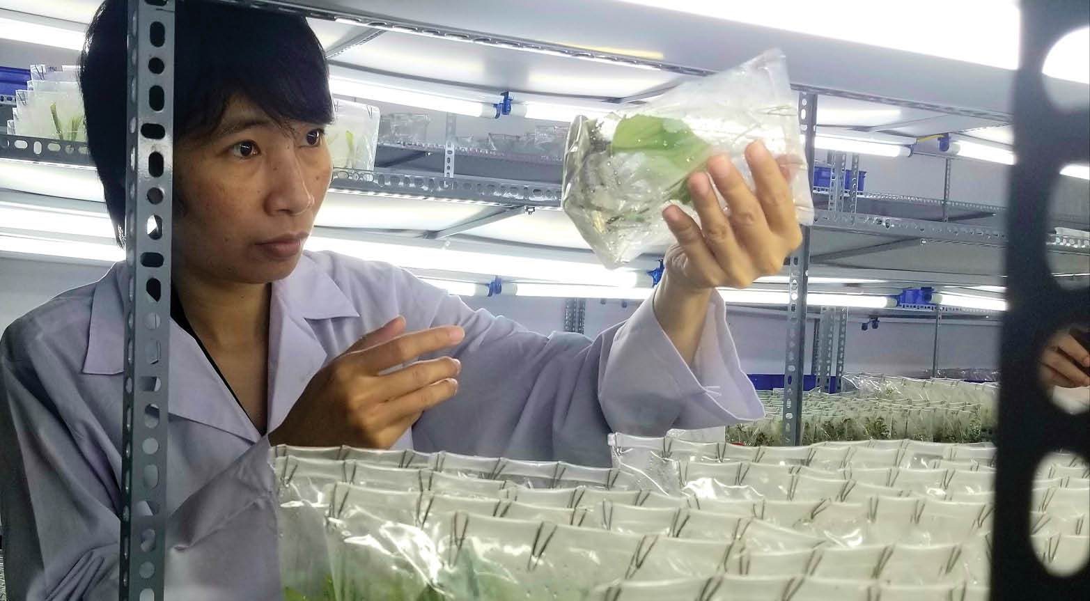 Gỡ rào cản trong nghiên cứu khoa học