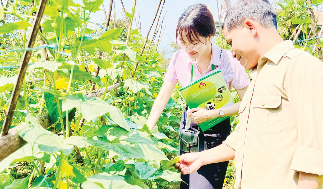 “Điểm tựa” giúp bà con vùng cao phát triển sinh kế