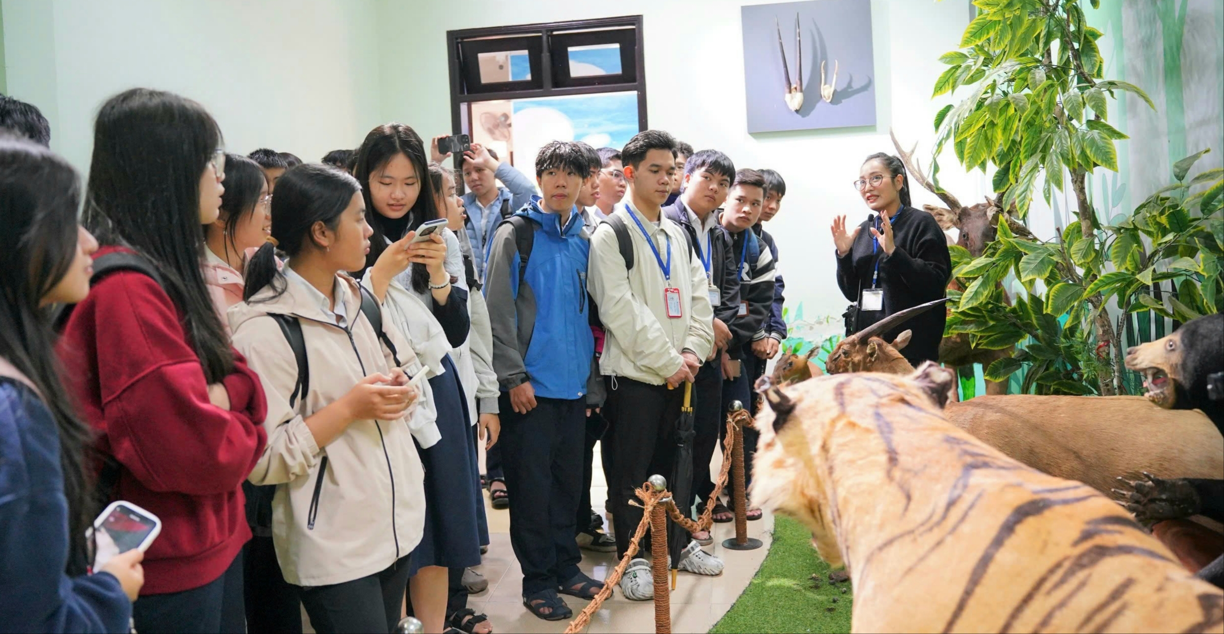 Hơn 2 000 lượt khách đăng ký tham quan Bảo tàng Thiên nhiên Duyên hải miền Trung