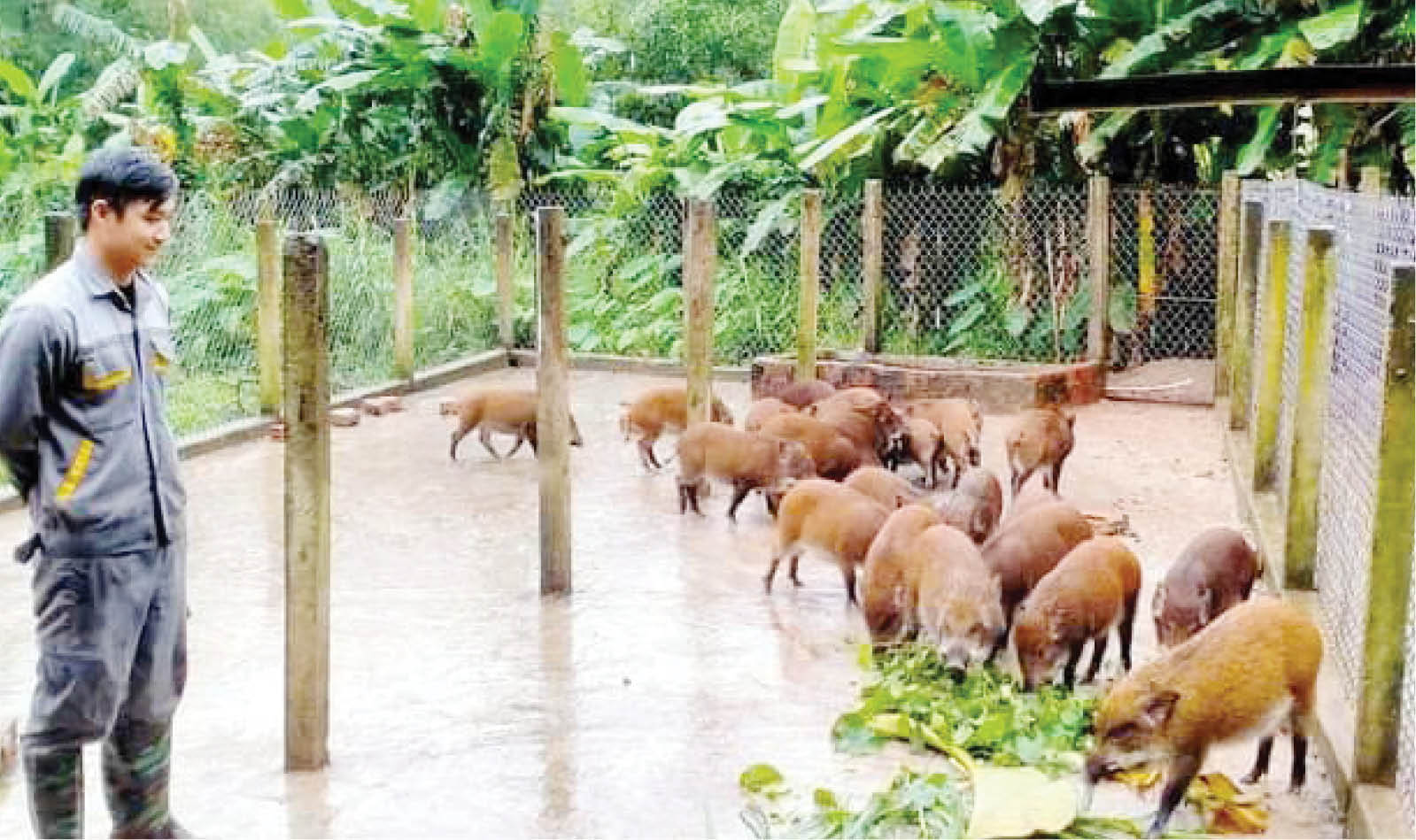 Cơ hội mới cho nông dân