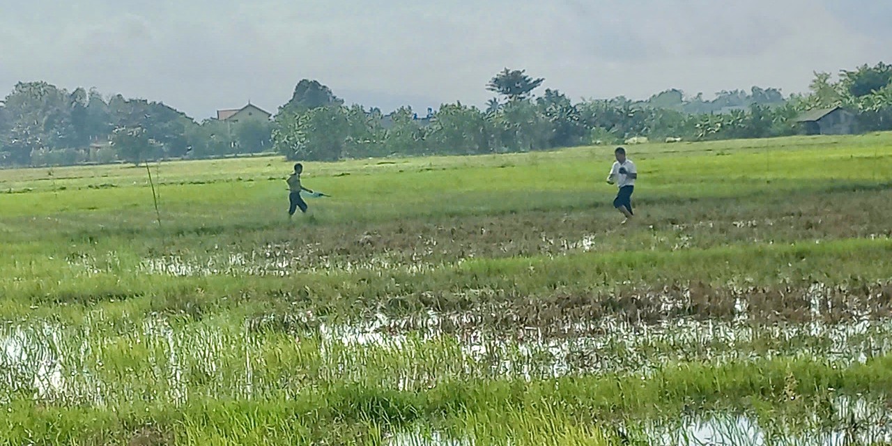 Quảng Điền 21 vụ vi phạm săn, bẫy chim trời bị phát hiện, xử lý