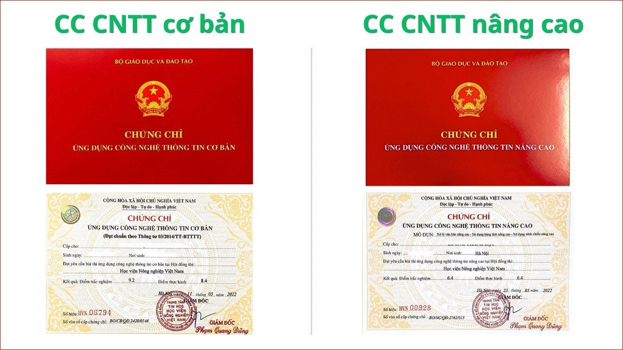 Học trực tuyến linh hoạt và chinh phục chứng chỉ tin học cùng Edulife