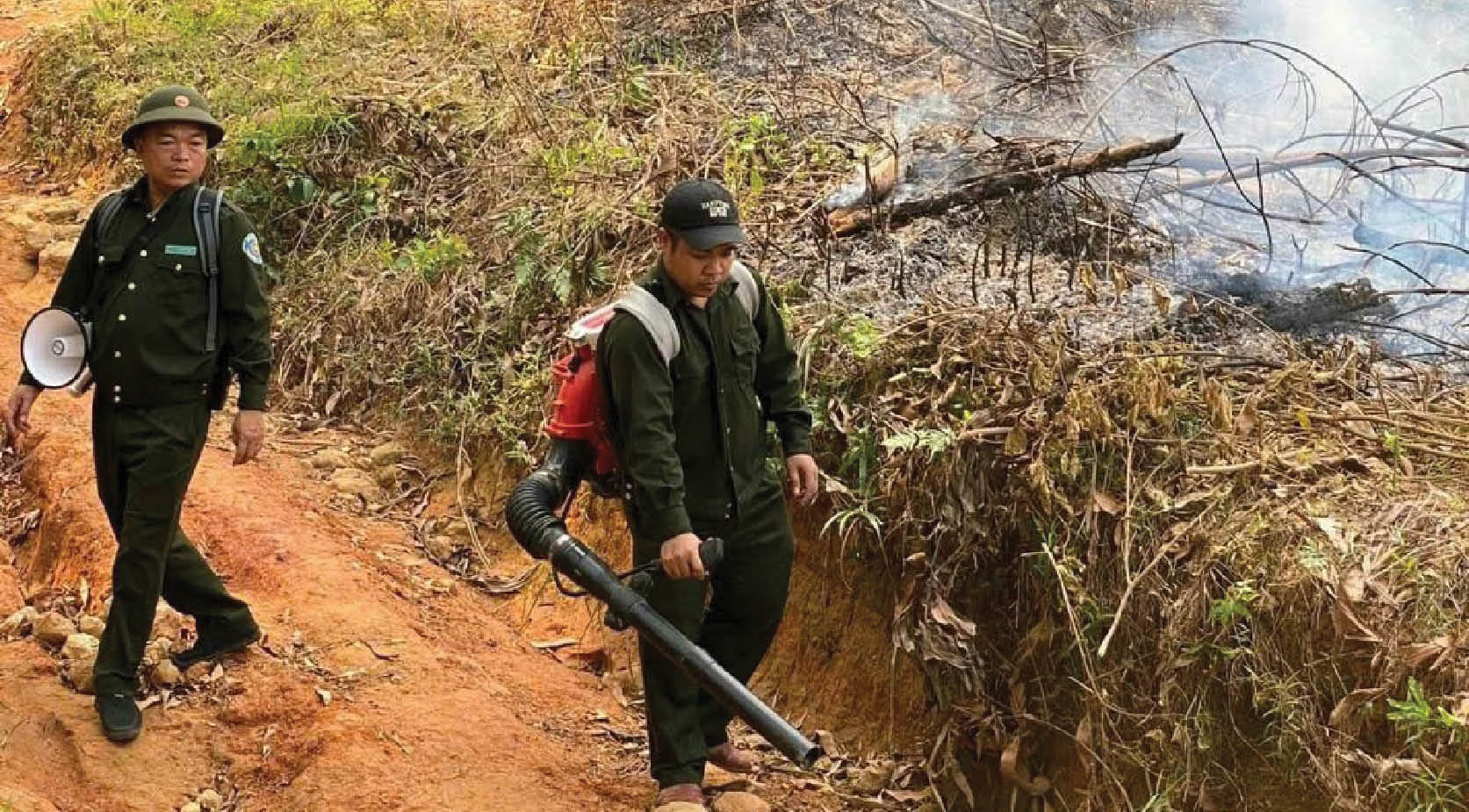 Chủ động các phương án phòng, chống cháy rừng