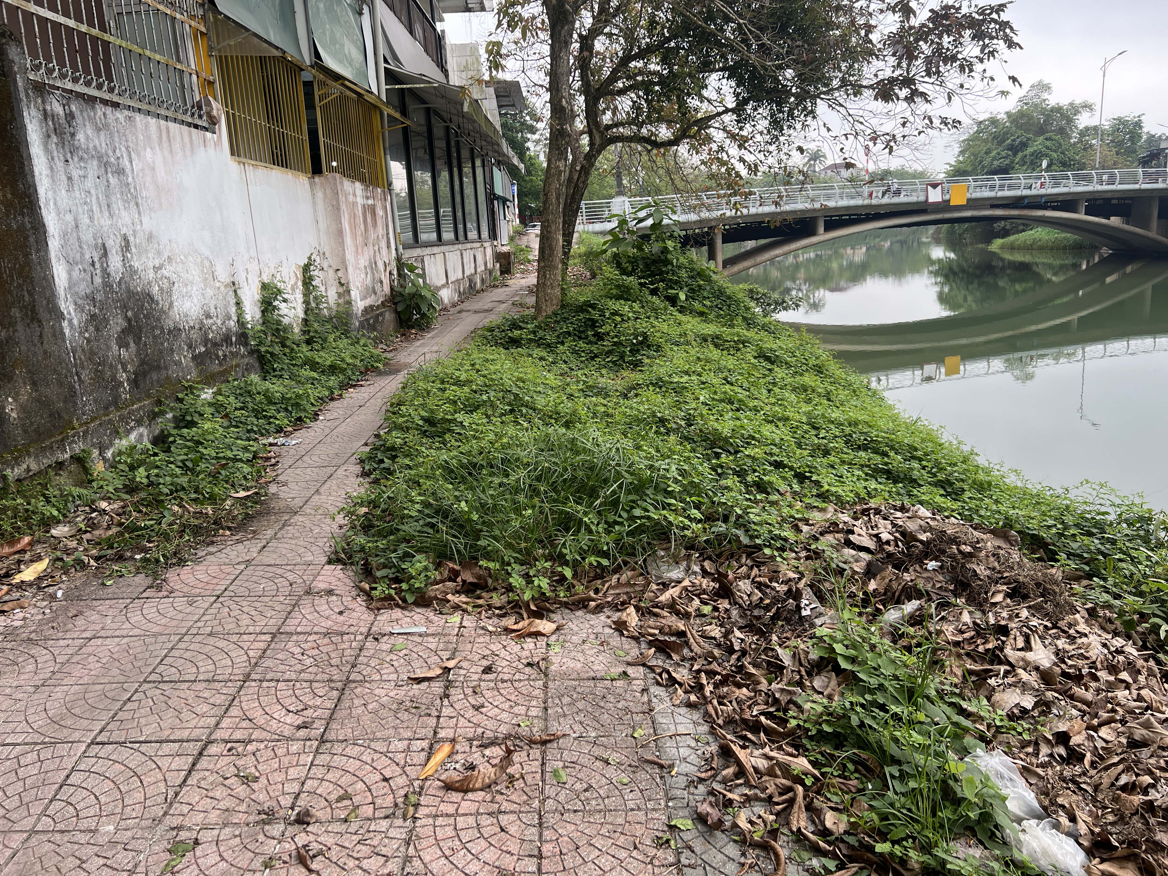 Cần để mắt giữ gìn sông An Cựu