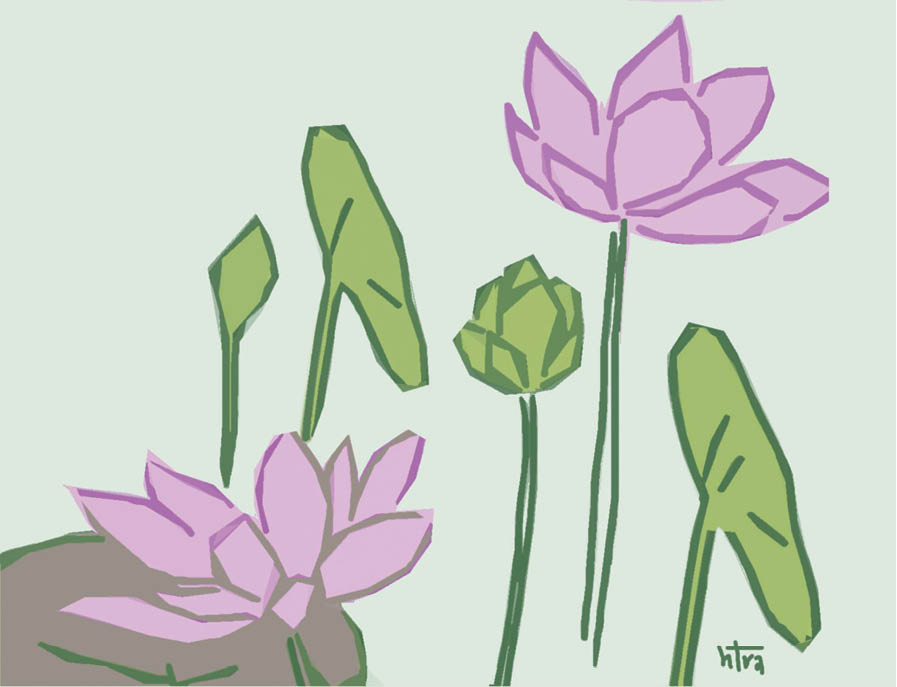 Một mùa sen thức giấc