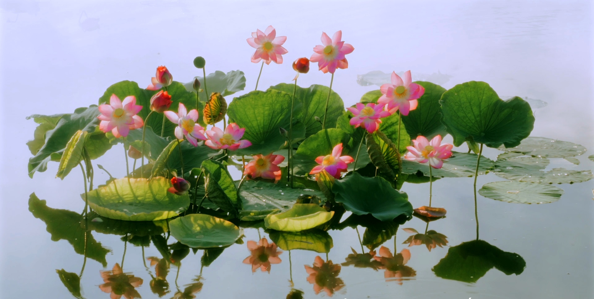 Bản tin Văn hóa du lịch ngày 15/5