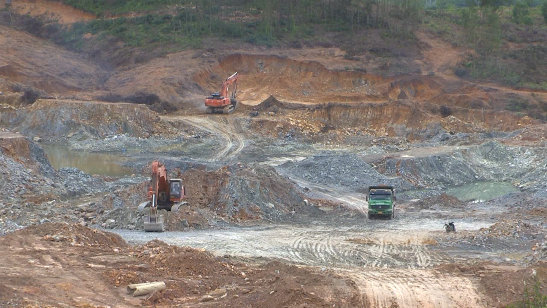 Bản tin Kinh tế - Thị trường ngày 17/5