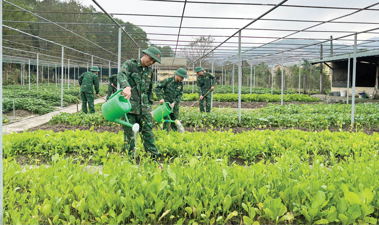 Tăng gia sản xuất giỏi cũng là học Bác