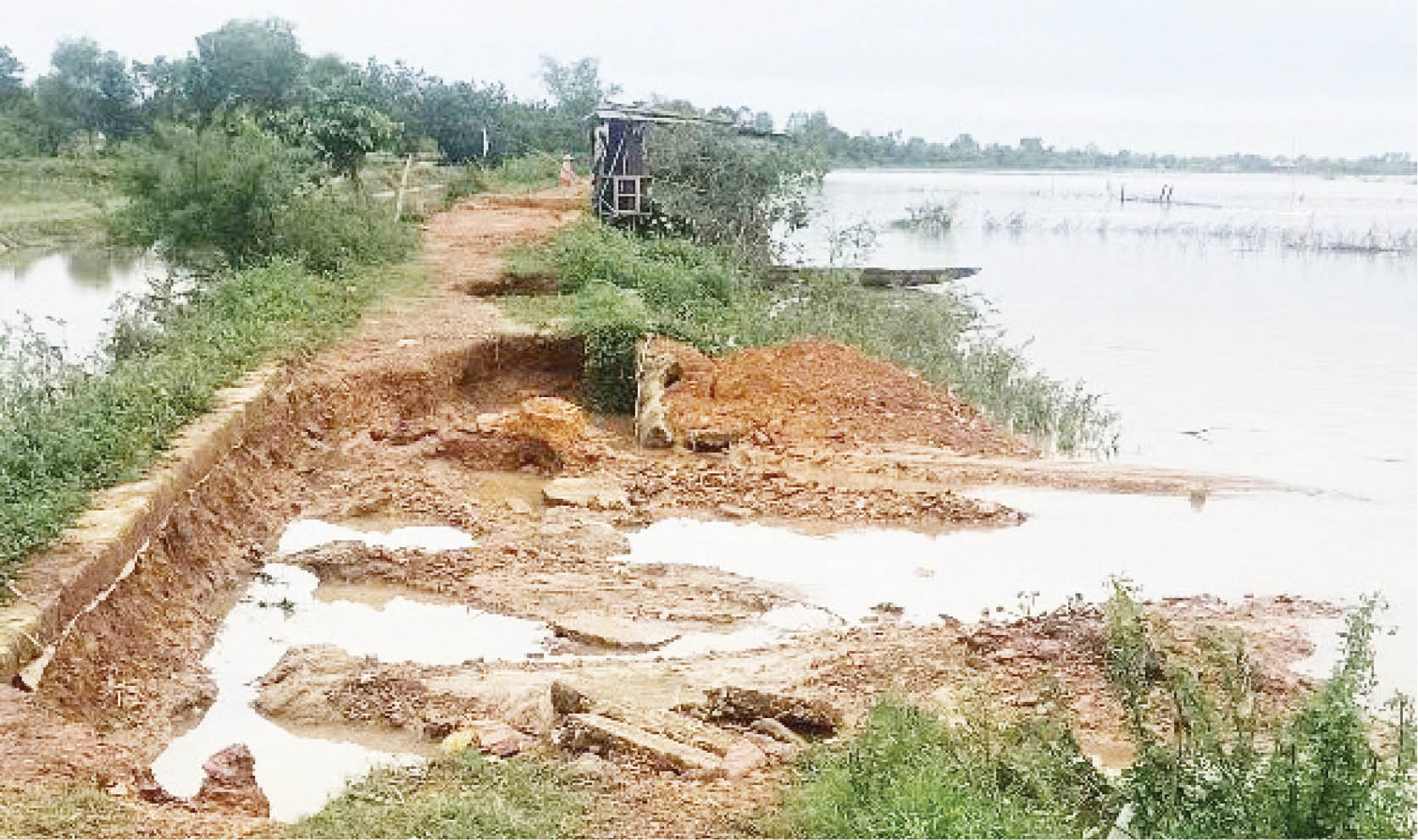 Sớm đầu tư nâng cấp, sửa chữa đê bao ở Phú Lộc