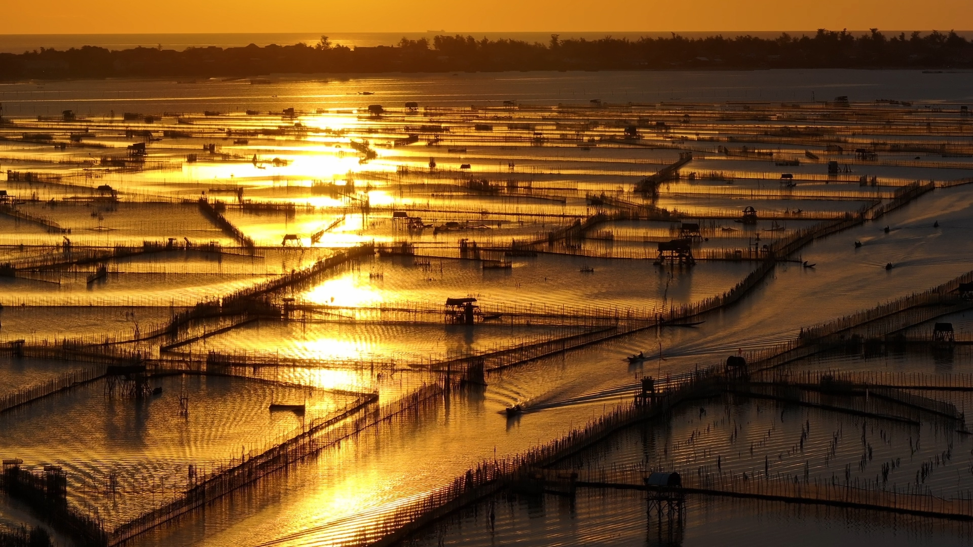 Bản tin Văn hóa du lịch ngày 22/5
