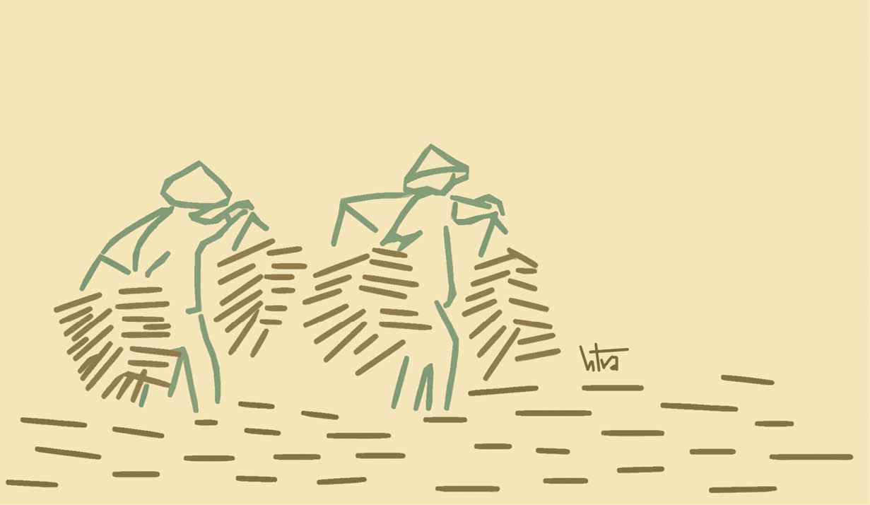 Quà của ruộng đồng