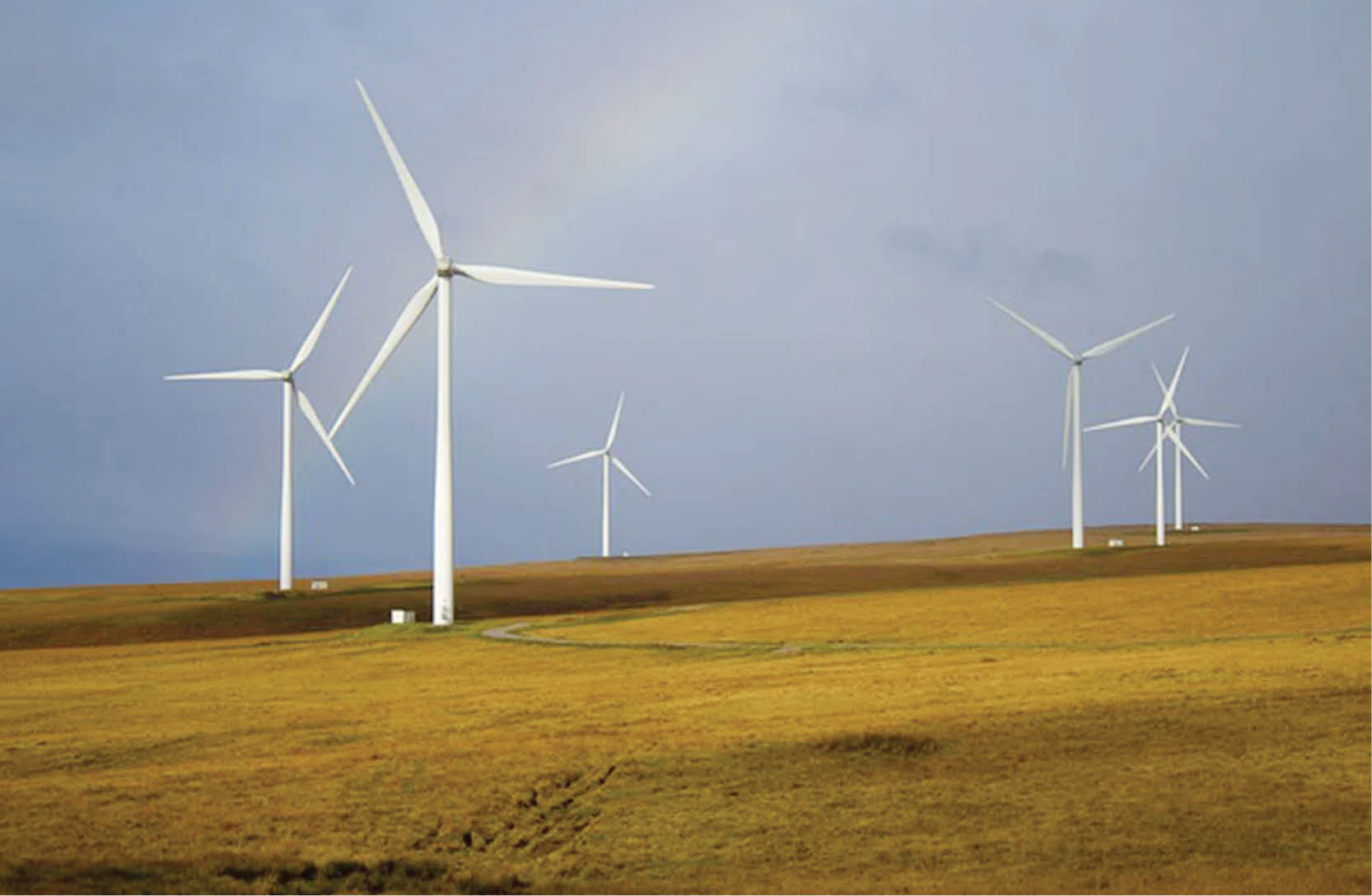 Thương mại năng lượng sạch tại ASEAN đang có nhiều thuận lợi