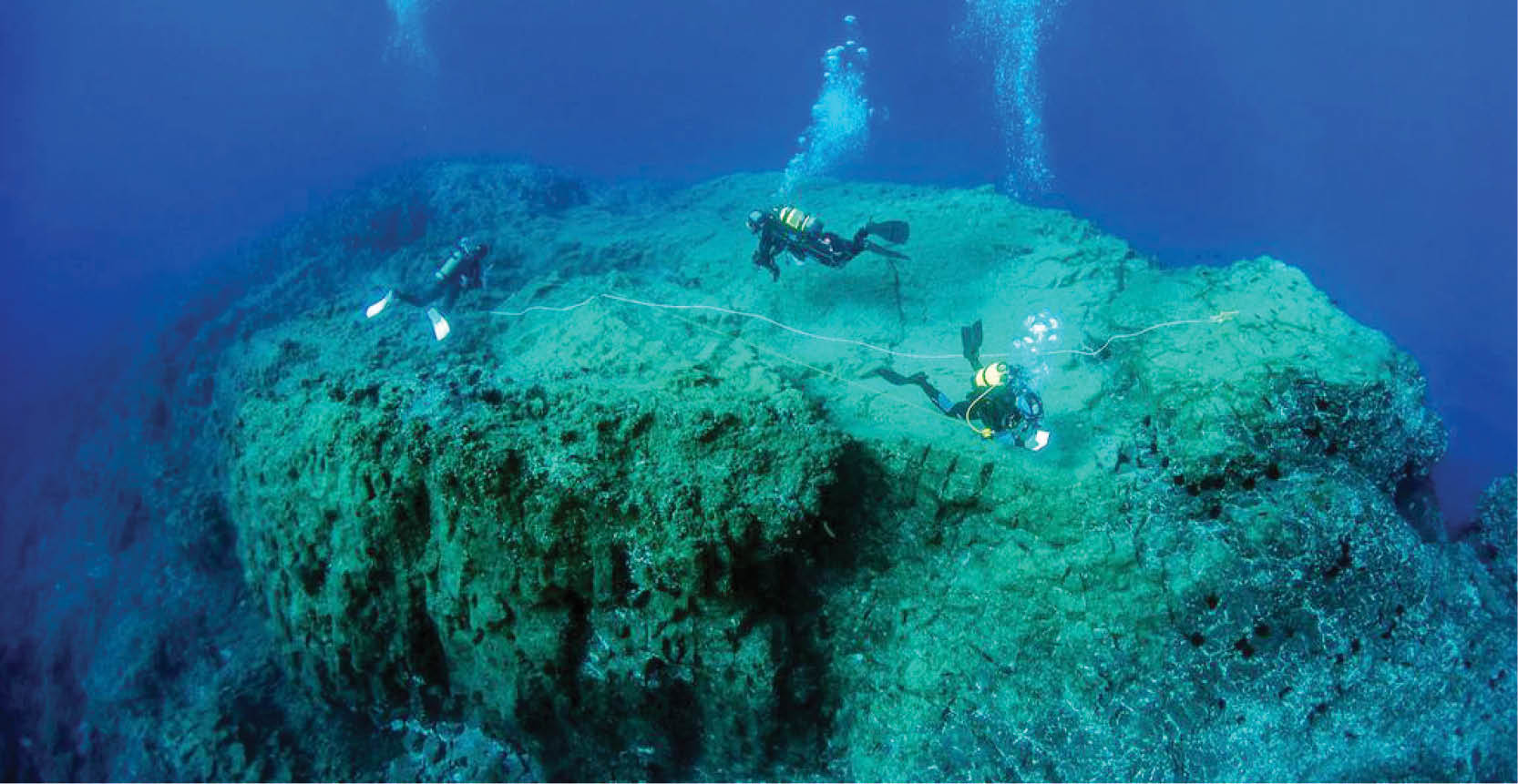 Biến tham vọng thành hành động để bảo vệ đại dương