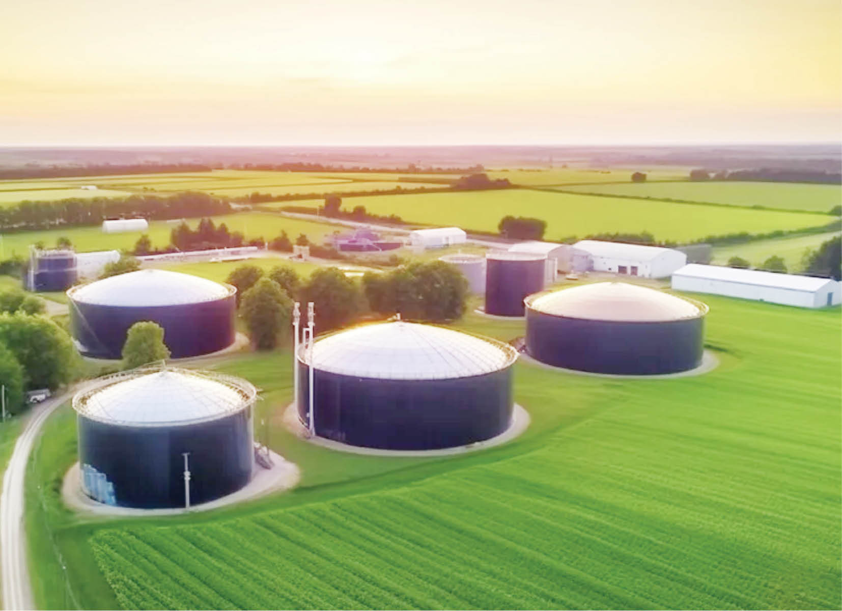 Cơ quan Năng lượng quốc tế IEA  Khí sinh học có tiềm năng lớn chưa được khai thác