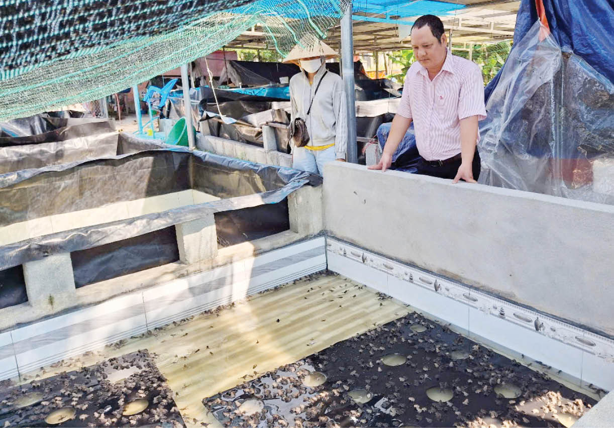 Thoát nghèo từ nguồn vốn chính sách qua hội nông dân