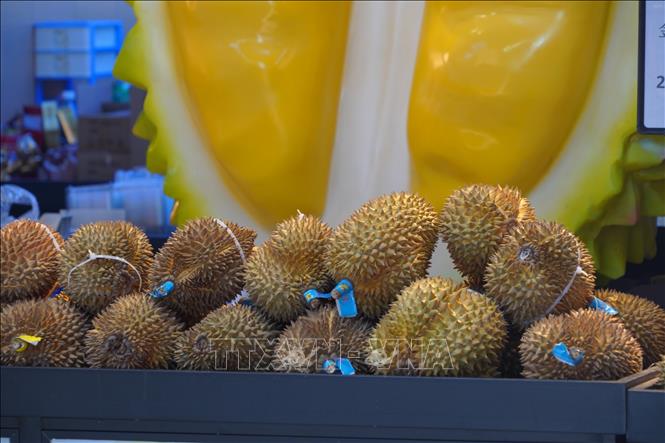 Sầu riêng Việt Nam ngày càng được ưa chuộng tại Trung Quốc