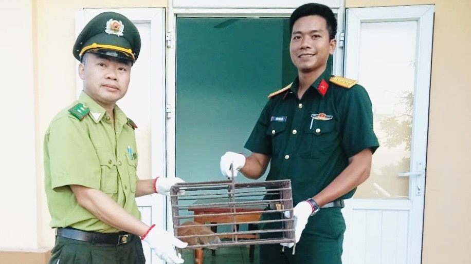 Hương Thủy Tiếp nhận cá thể cu li nhỏ quý hiếm