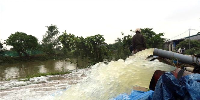 Các địa phương chủ động bơm tiêu úng diện tích lúa bị ngập