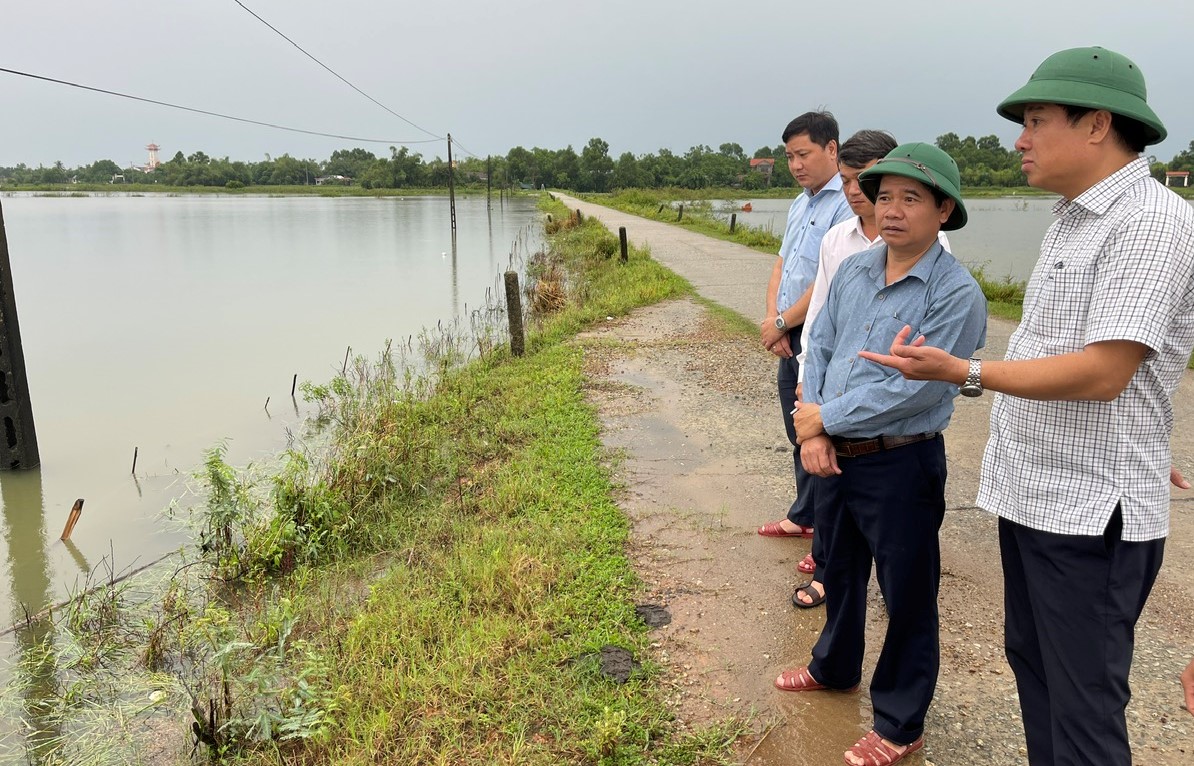 Khẩn trương tiêu úng, cứu lúa