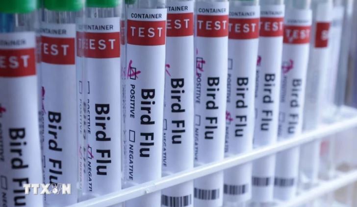 Campuchia ghi nhận ca tử vong thứ năm do cúm gia cầm H5N1