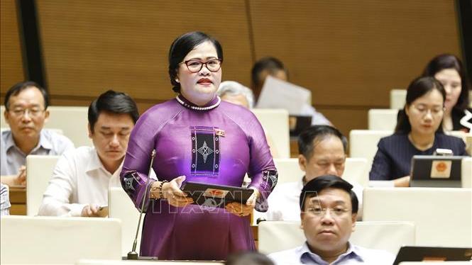 Thảo luận về cơ chế tháo gỡ điểm nghẽn của pháp luật